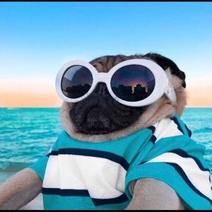 Meet your Posher, Janna